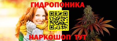 МДПВ Волжск