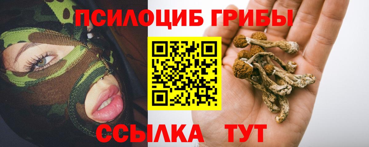 Псилоцибиновые грибы GOLDEN TEACHER Новозыбков